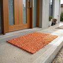 House Front Door Step Mat