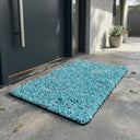 House Front Door Step Mat