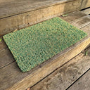 Avocado Green