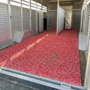 Animal Trailer & Livestock Mat