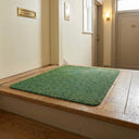 Apartment Hallway Step Mat