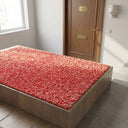 Apartment Hallway Step Mat