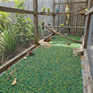 Bird Aviary Floor Mat