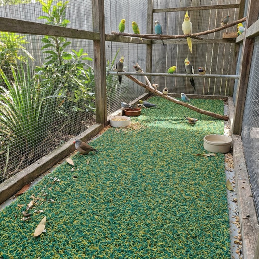 Bird Aviary Floor Mat
