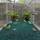 Bird Aviary Floor Mat
