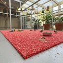 Bird Aviary Floor Mat