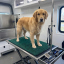 Dog Grooming Table Mat