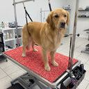 Dog Grooming Table Mat