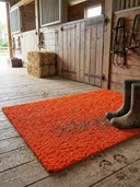 Stable & Barn Entry Step Mat