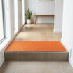 Apartment Hallway Step Mat