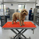 Dog Grooming Table Mat